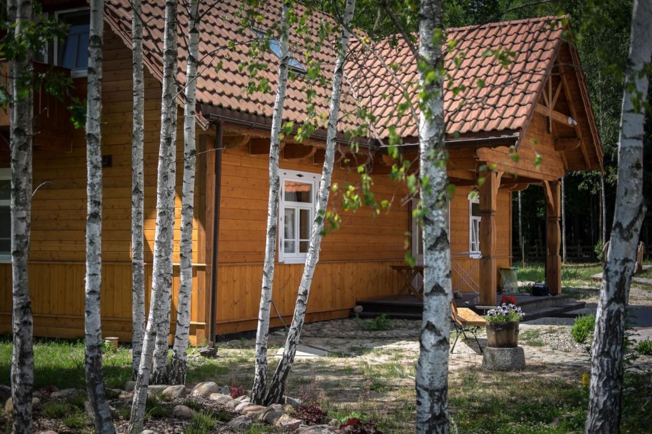Miodowa Kolonia Bed & Breakfast Bialowieza Ngoại thất bức ảnh